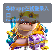 赛事直播与赛程画面背景